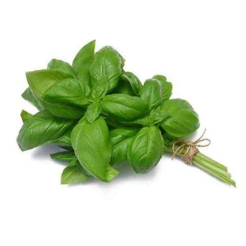 FOTO: HTTP://WWW.CMEILLEUR.FR/LIVRAISON-HERBES-FRAICHES/BASILIC-FRAIS_CA473.HTML