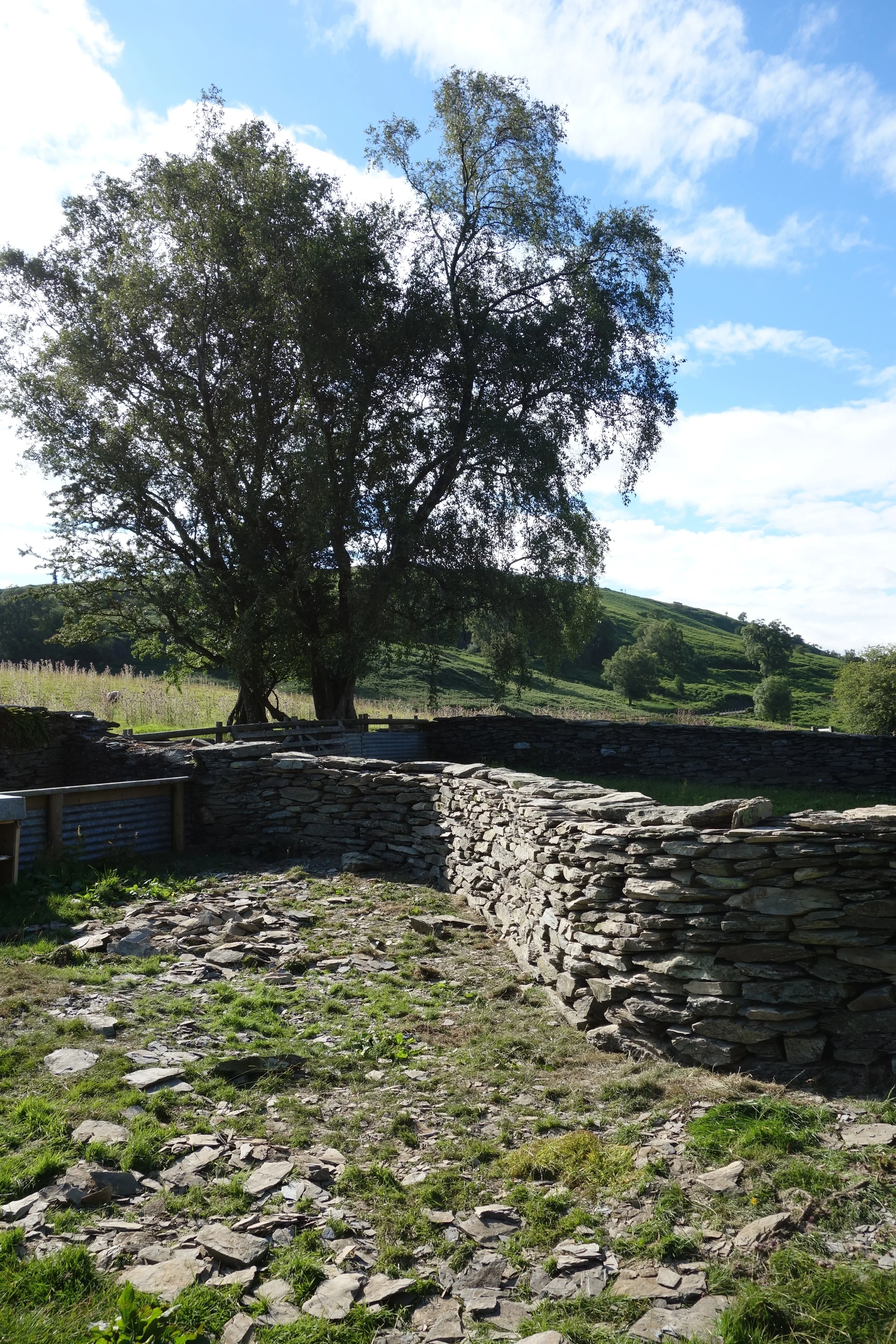 Sheepfold Restoration