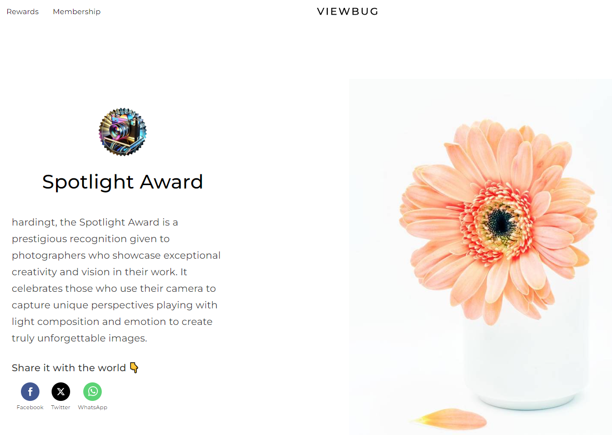 Viewbug Award2.PNG
