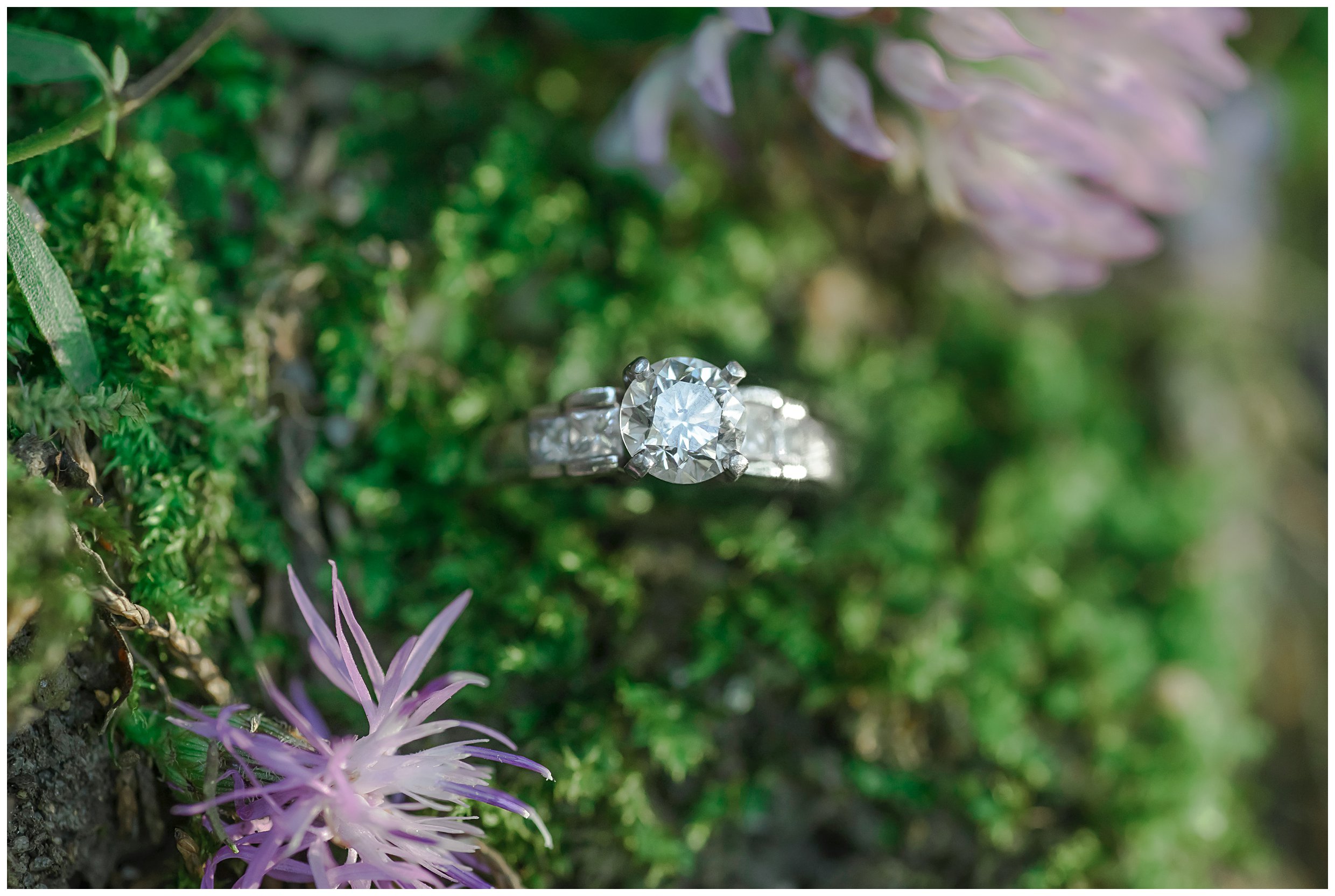 Ally and Chris_Engagement_Stephanie Kopf Photography-1-3.jpg