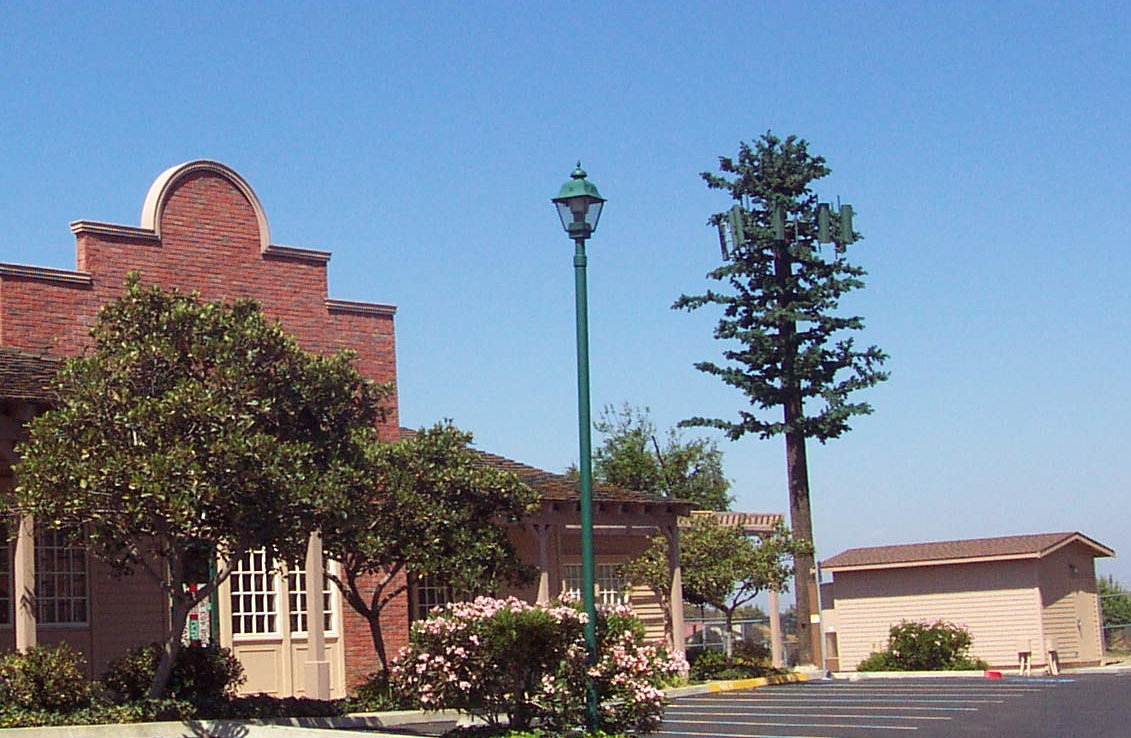 DCP_3400.JPG