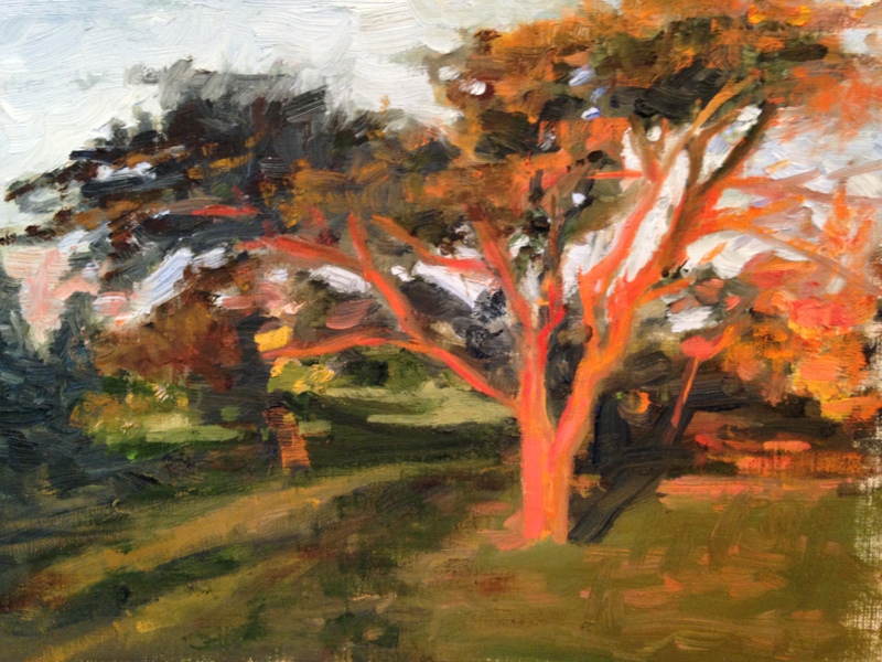 Red in the Morning, Scioto Country Club 10 x 14 