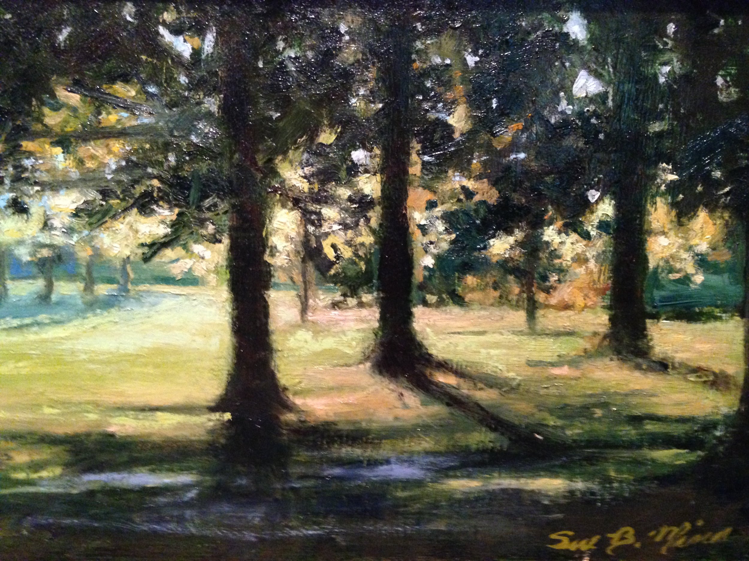Evergreens 8 x 12