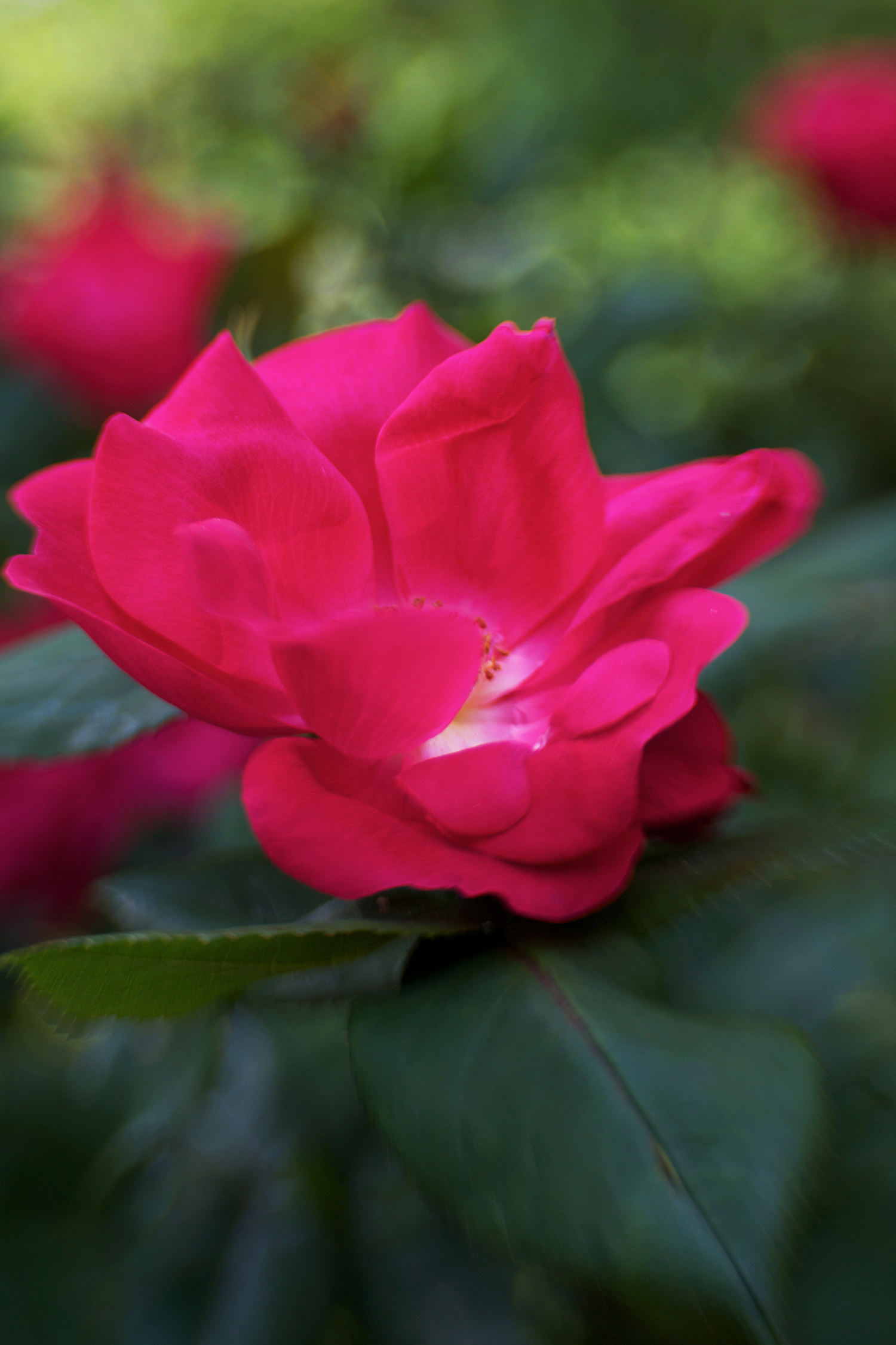 DSC_8662w.jpg