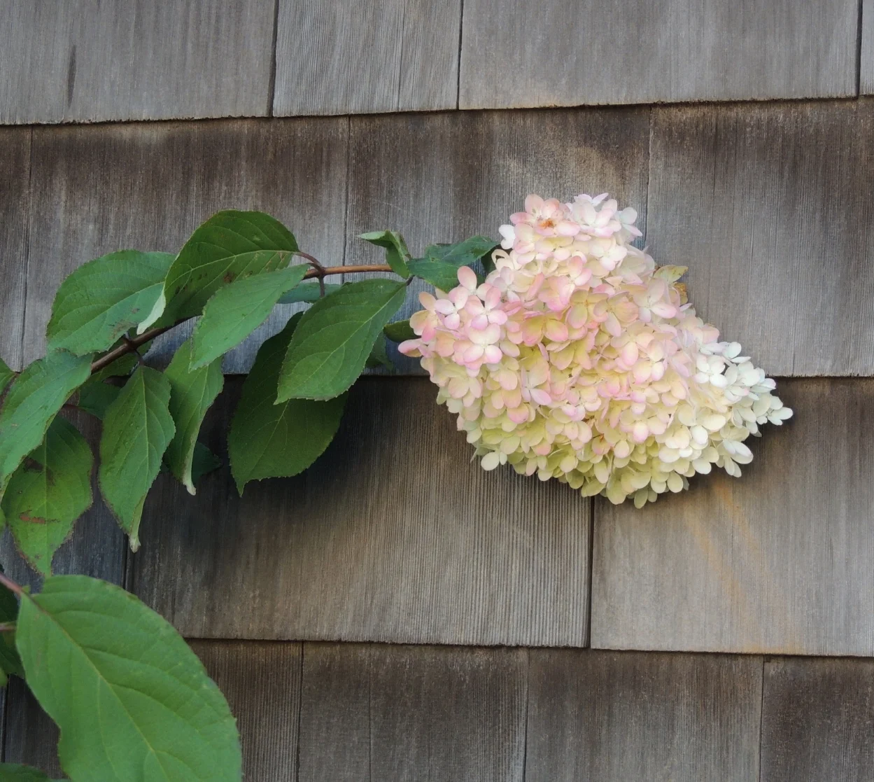 DSCN3672.JPG