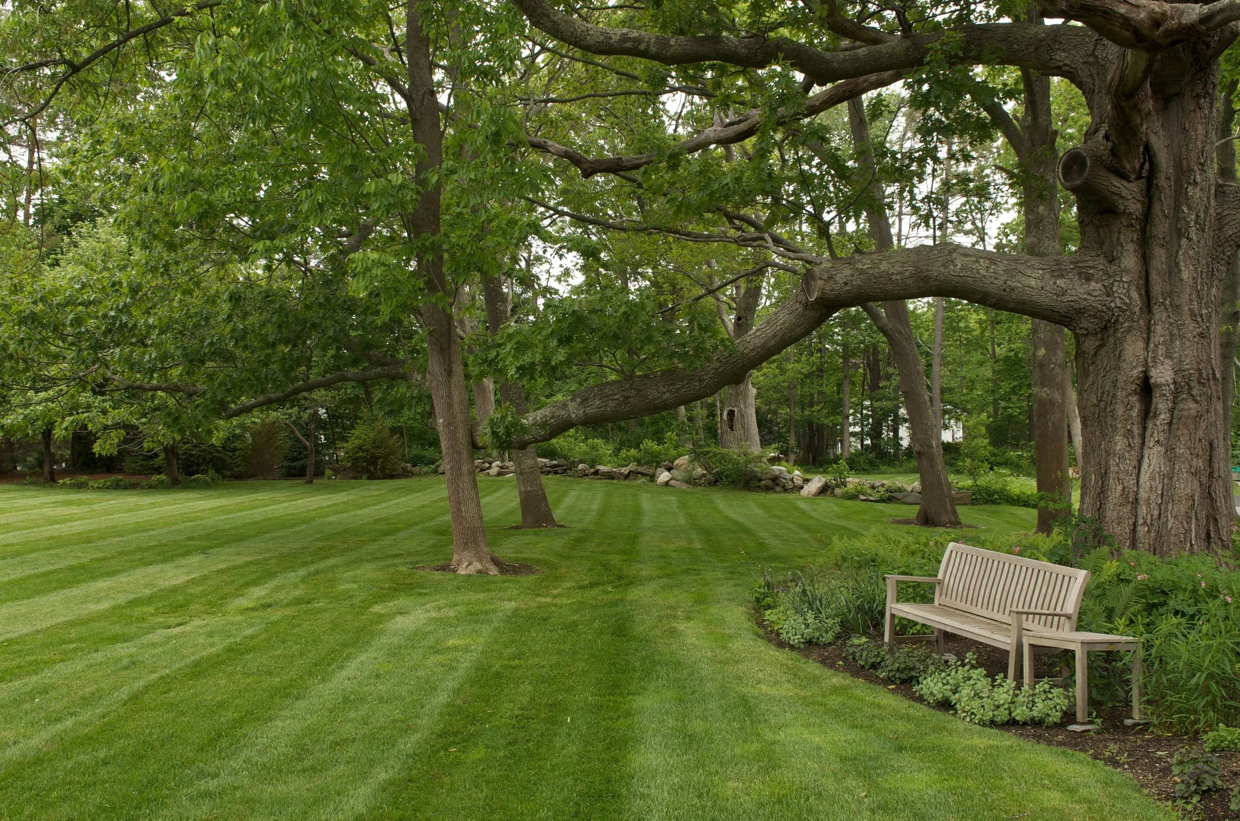 Parks + Gardens 