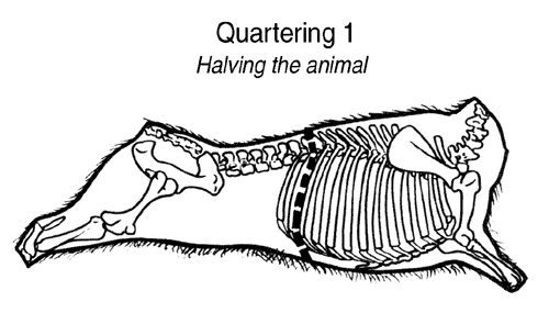 Quartering1.gif