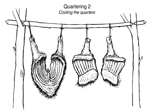 Quartering2.gif