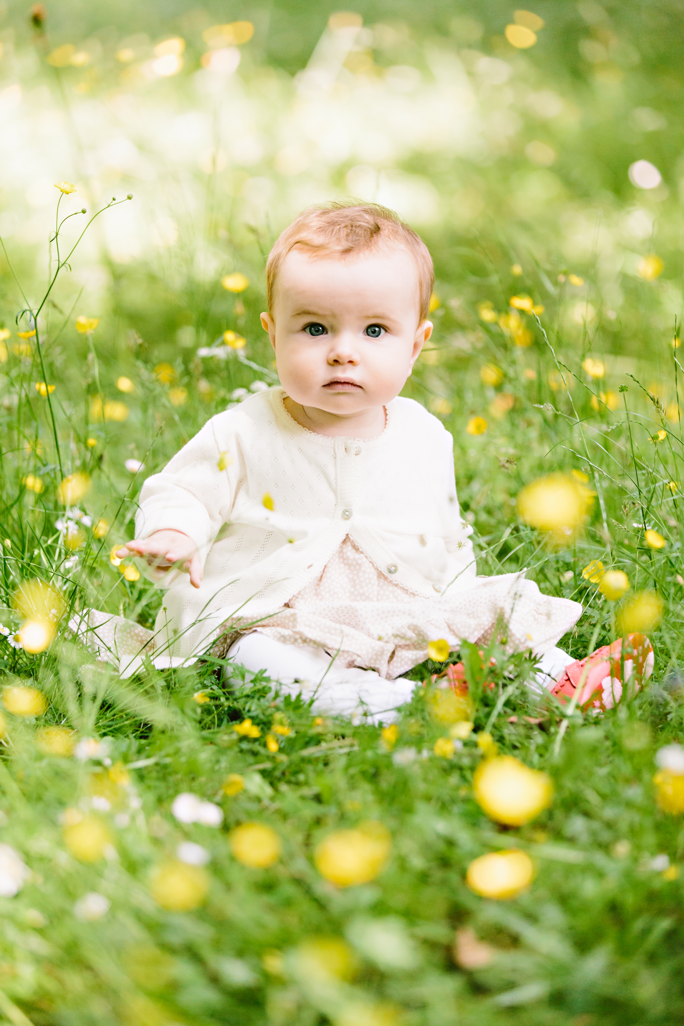 The Appletons June 2013 -128.jpg