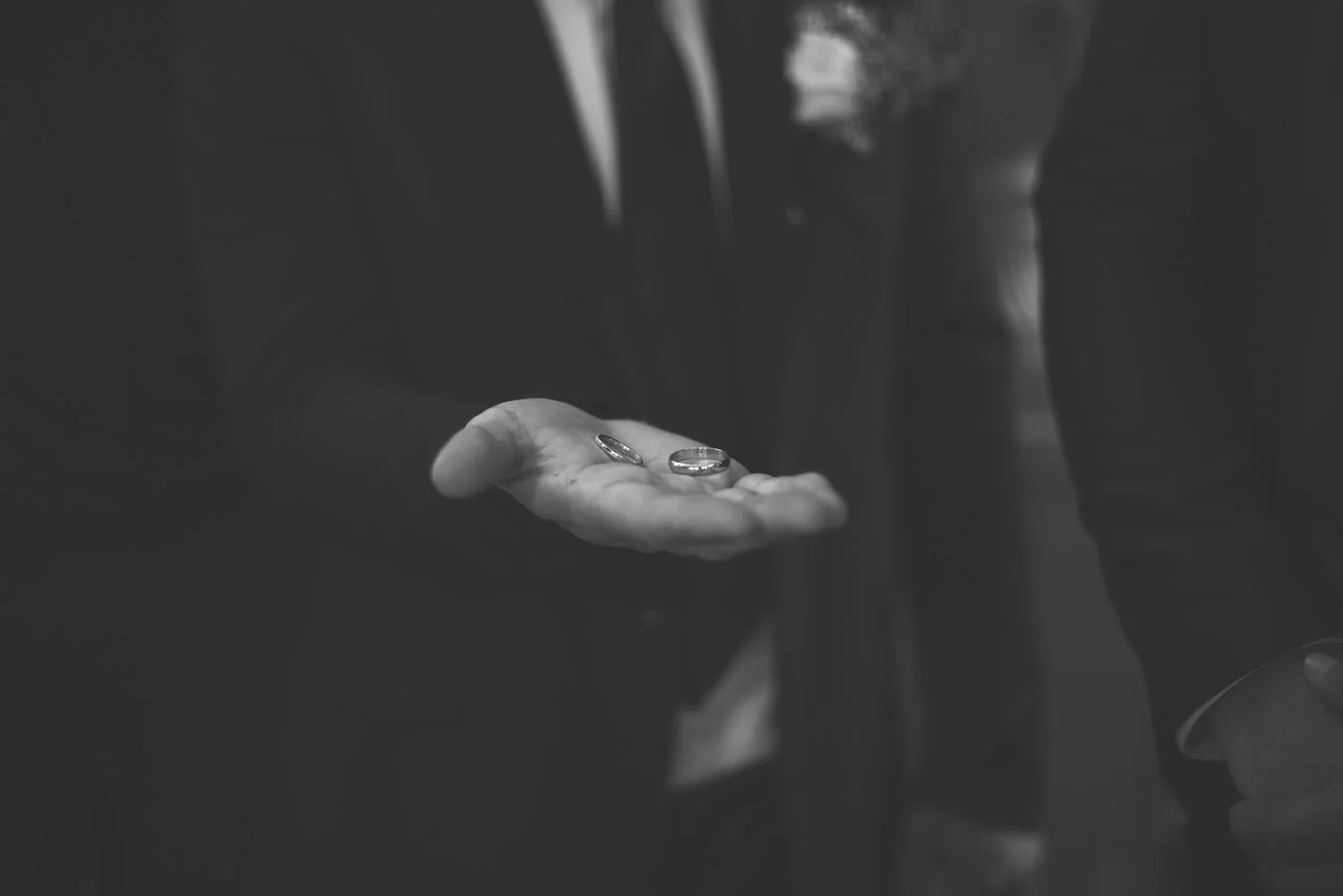 4 (20).jpg