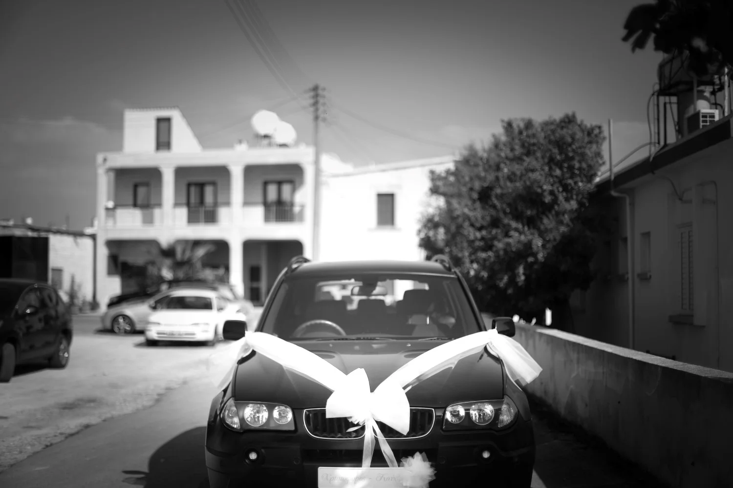 RIYA1181.jpg