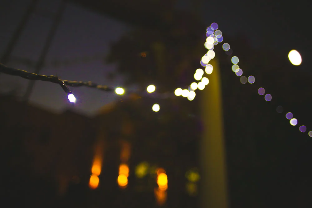 MRIY1018.jpg