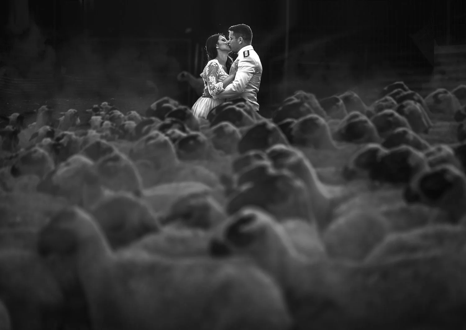 Goat Farm! in Prastio, Cyprus