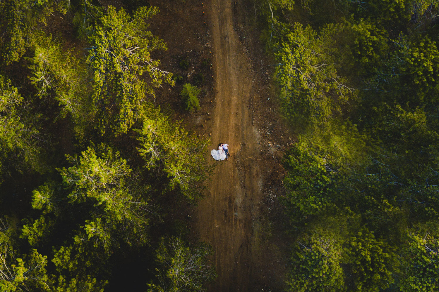 WEB_DJI_0222.JPG