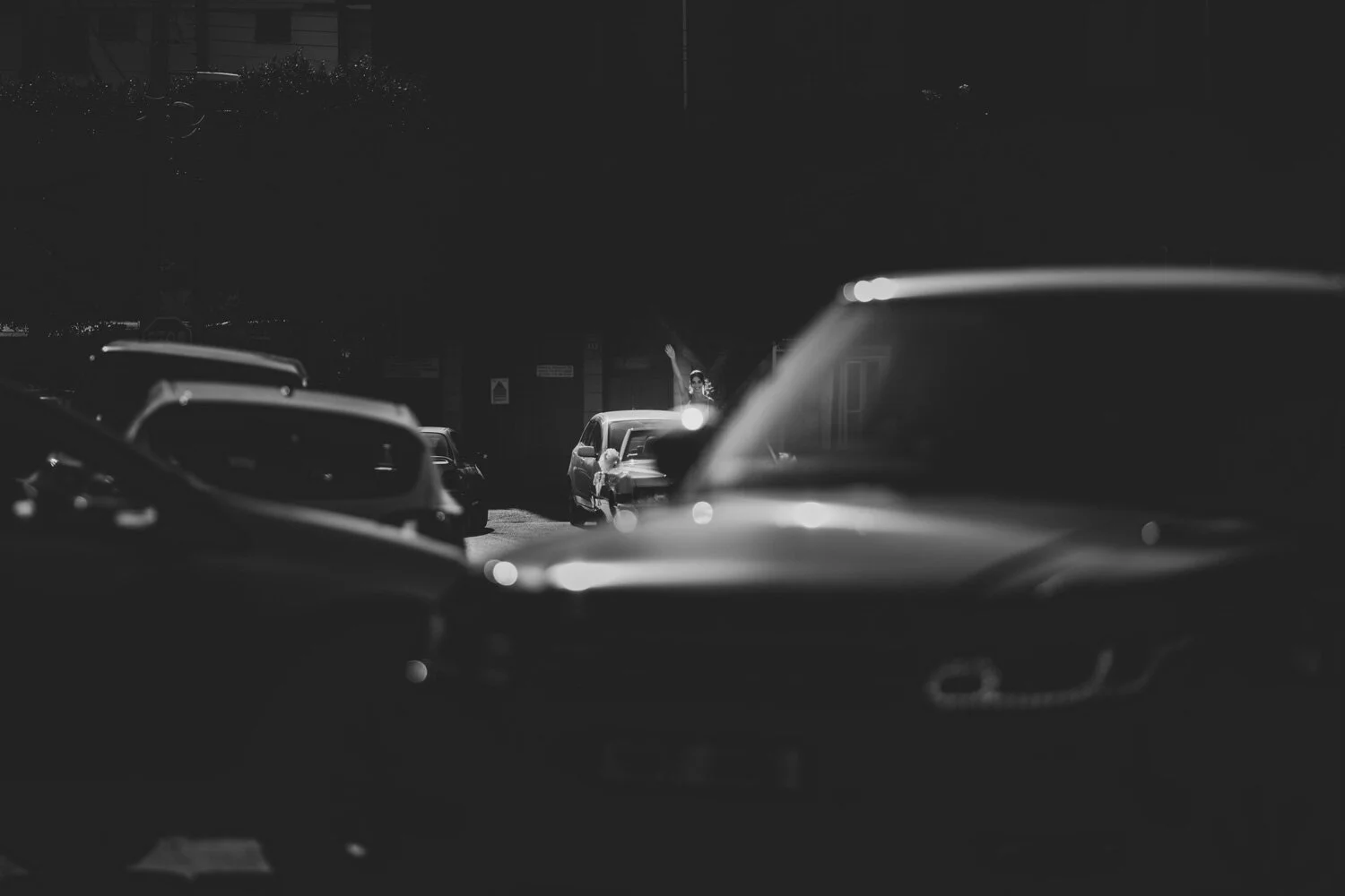 CO_1288.jpg