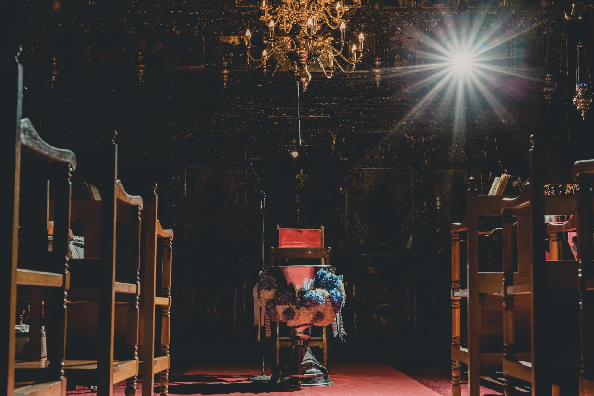 ALEXANDROS_108 (Photo Experts).jpg