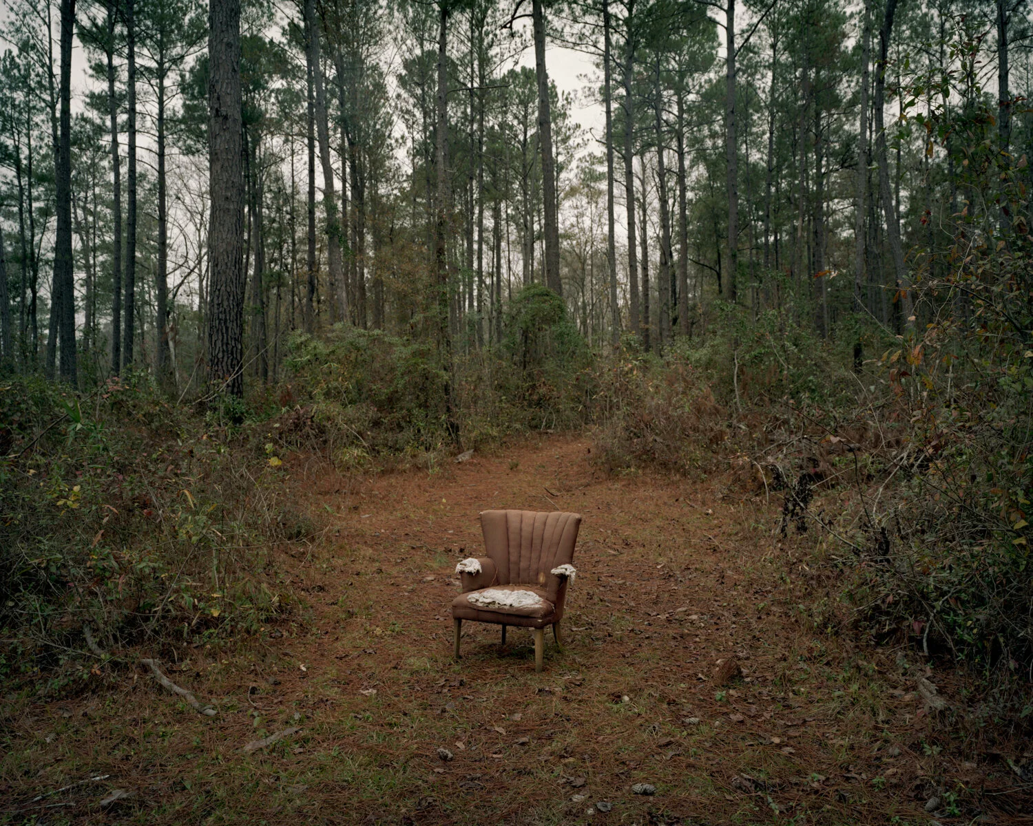 Bartram Trail