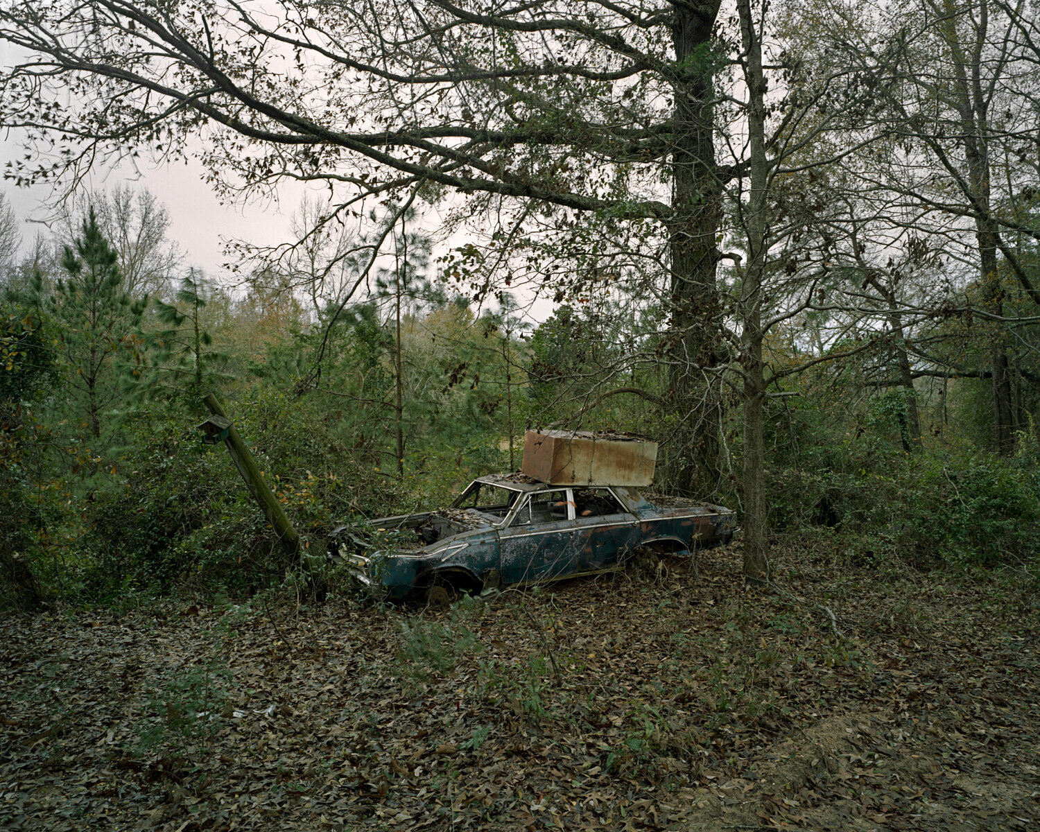 Sedan and Fridge