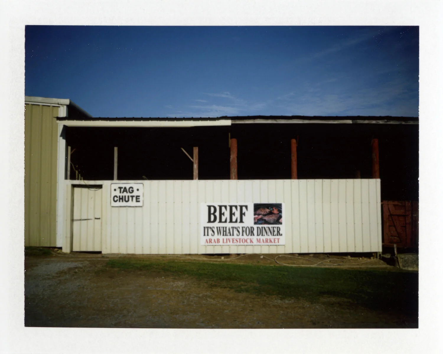 BEEF