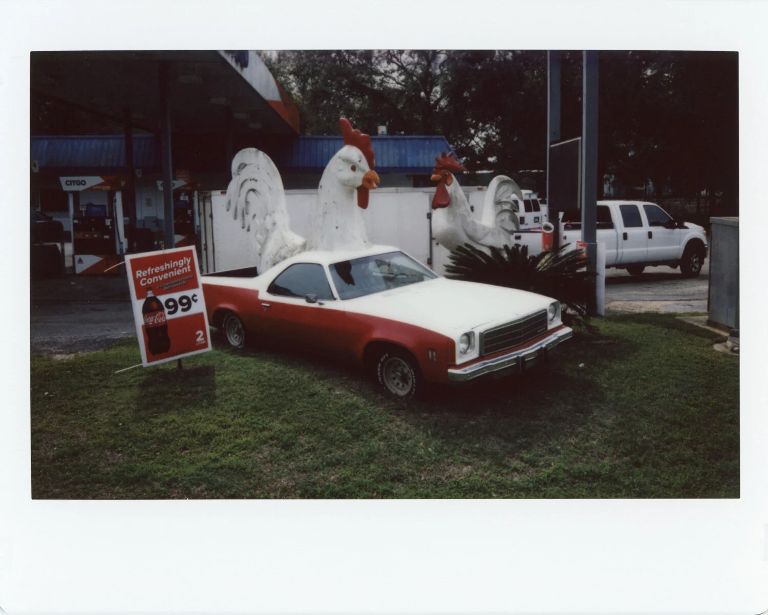 Chicken Camino