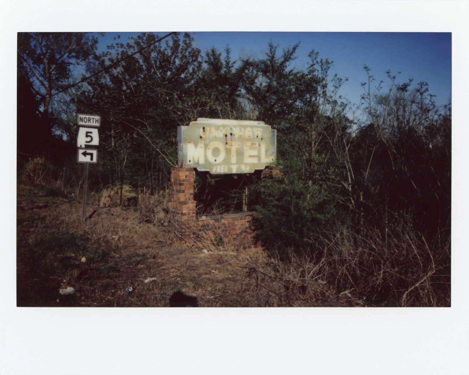 Free TV