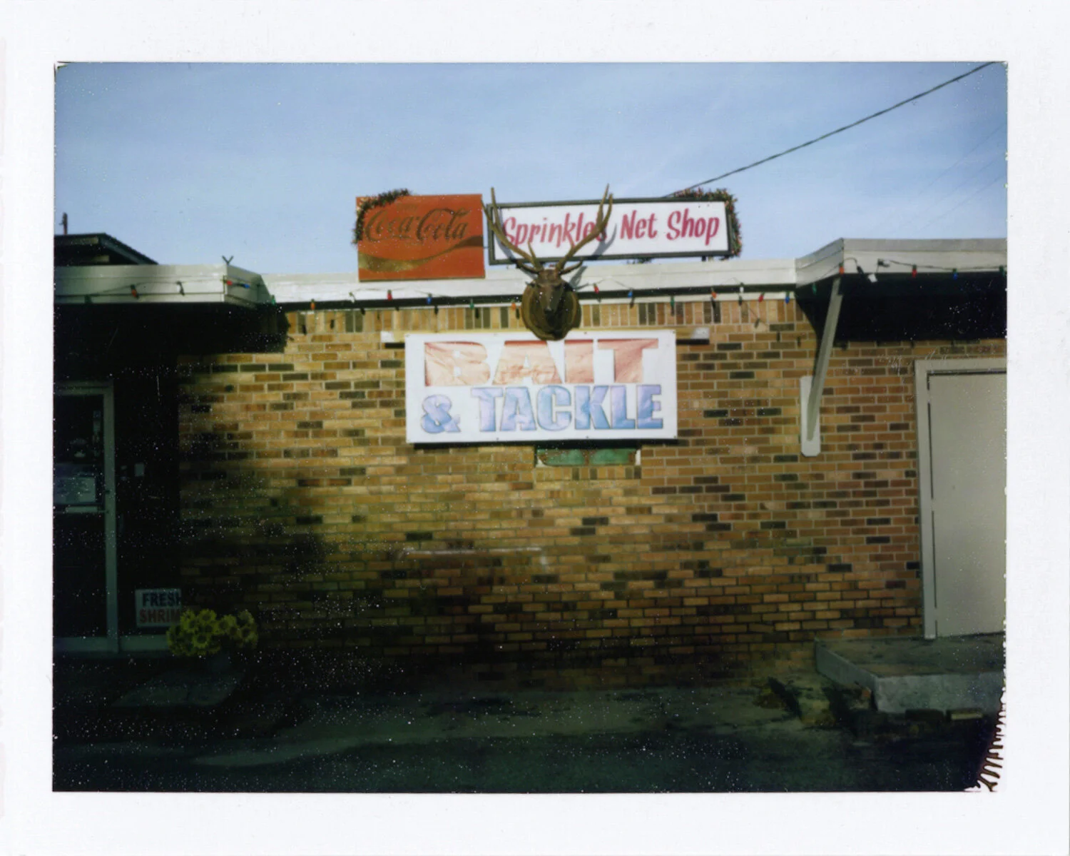 Sprinkle's