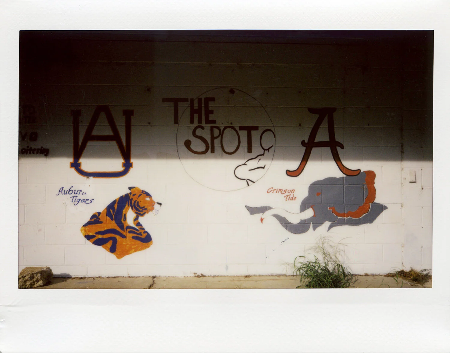 The Spot