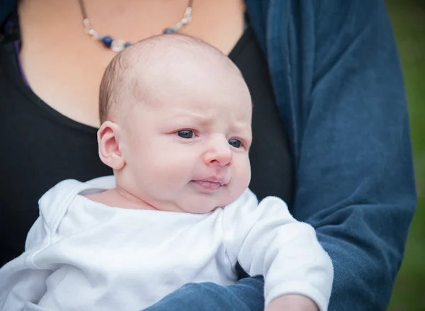 BLOG_Floristy_Baby_004.jpg