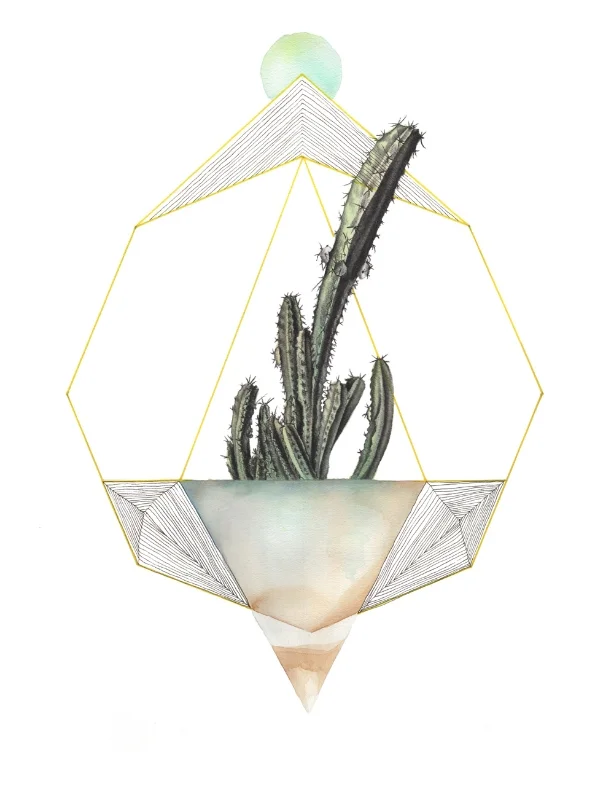 5/6 Cactus