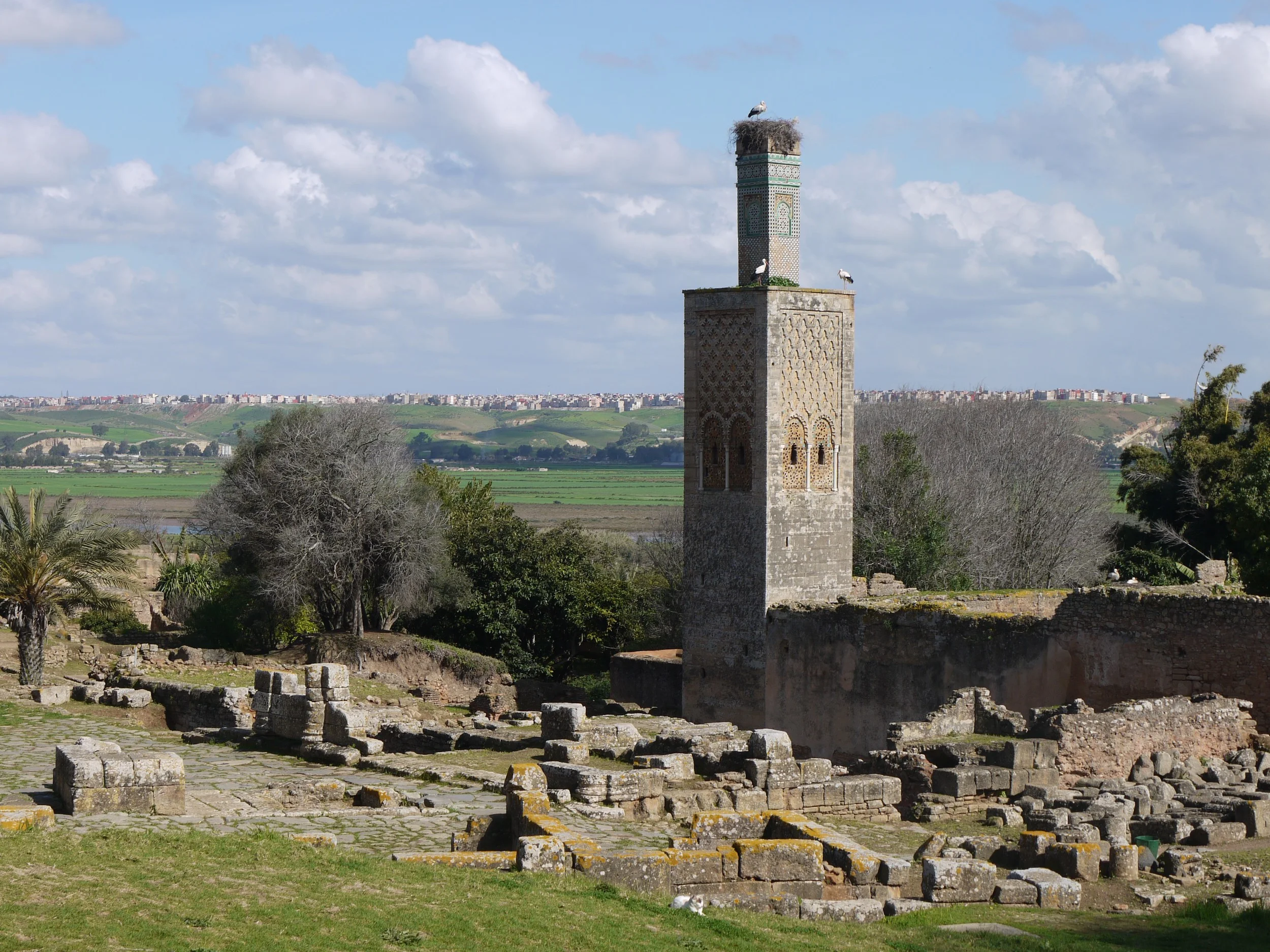 Storks nesting in the ruins at Chellah in Rabat. 