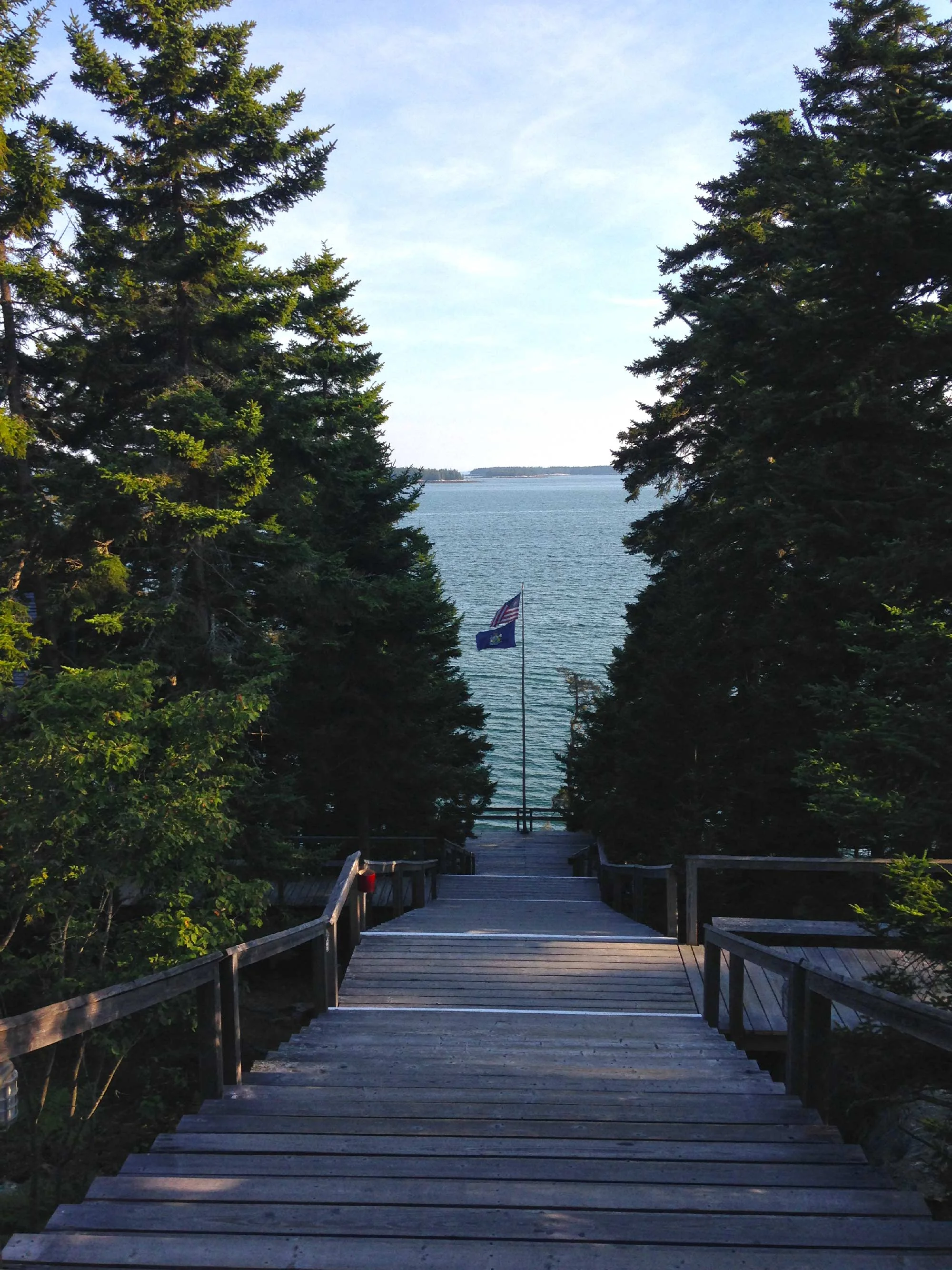 What a view - from the top of the iconic Haystack stair connecting the studio spaces to the sleeping cabins.
