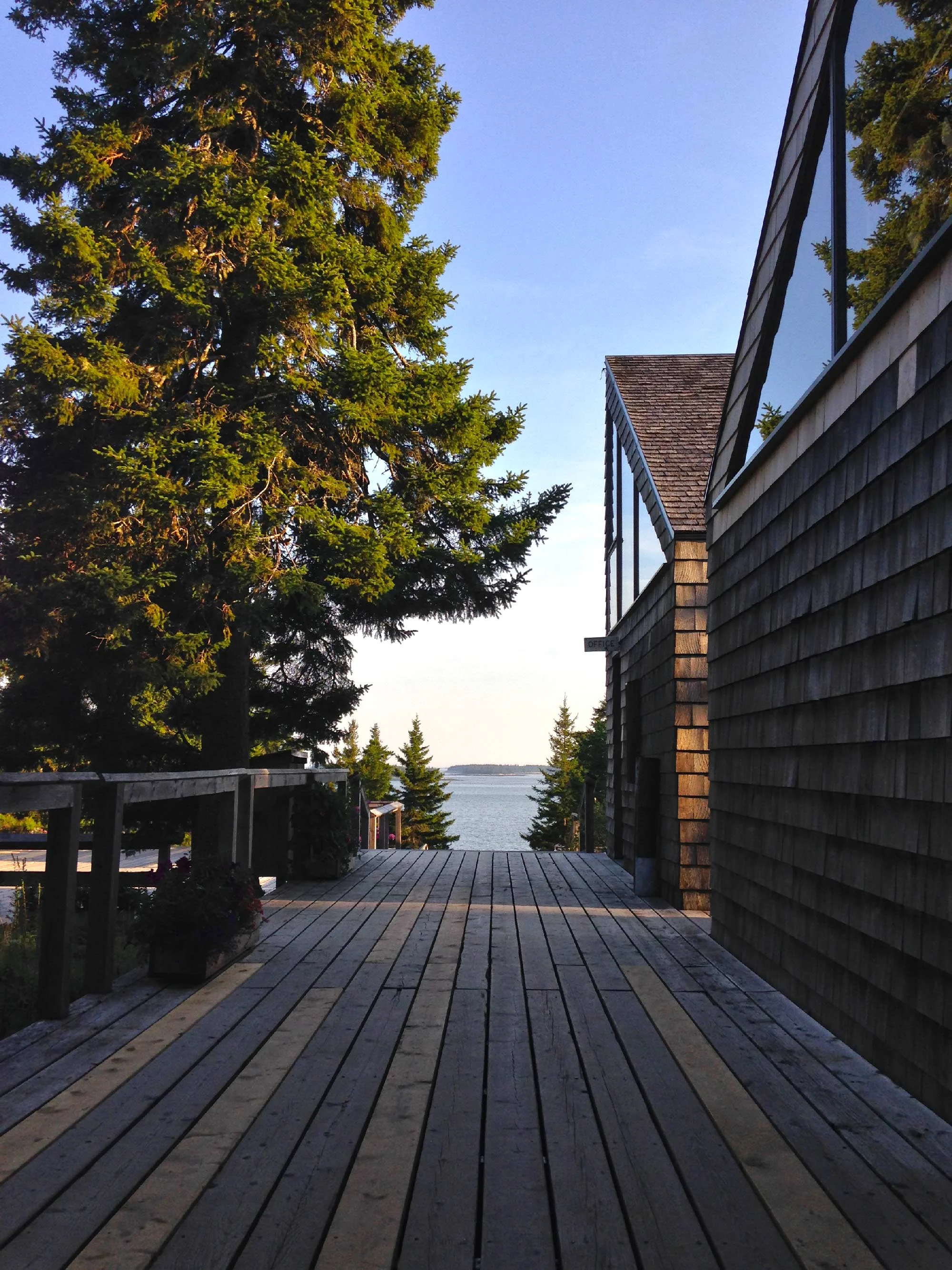 The starting point of the deck spine floating above the steep rocky Maine coast.