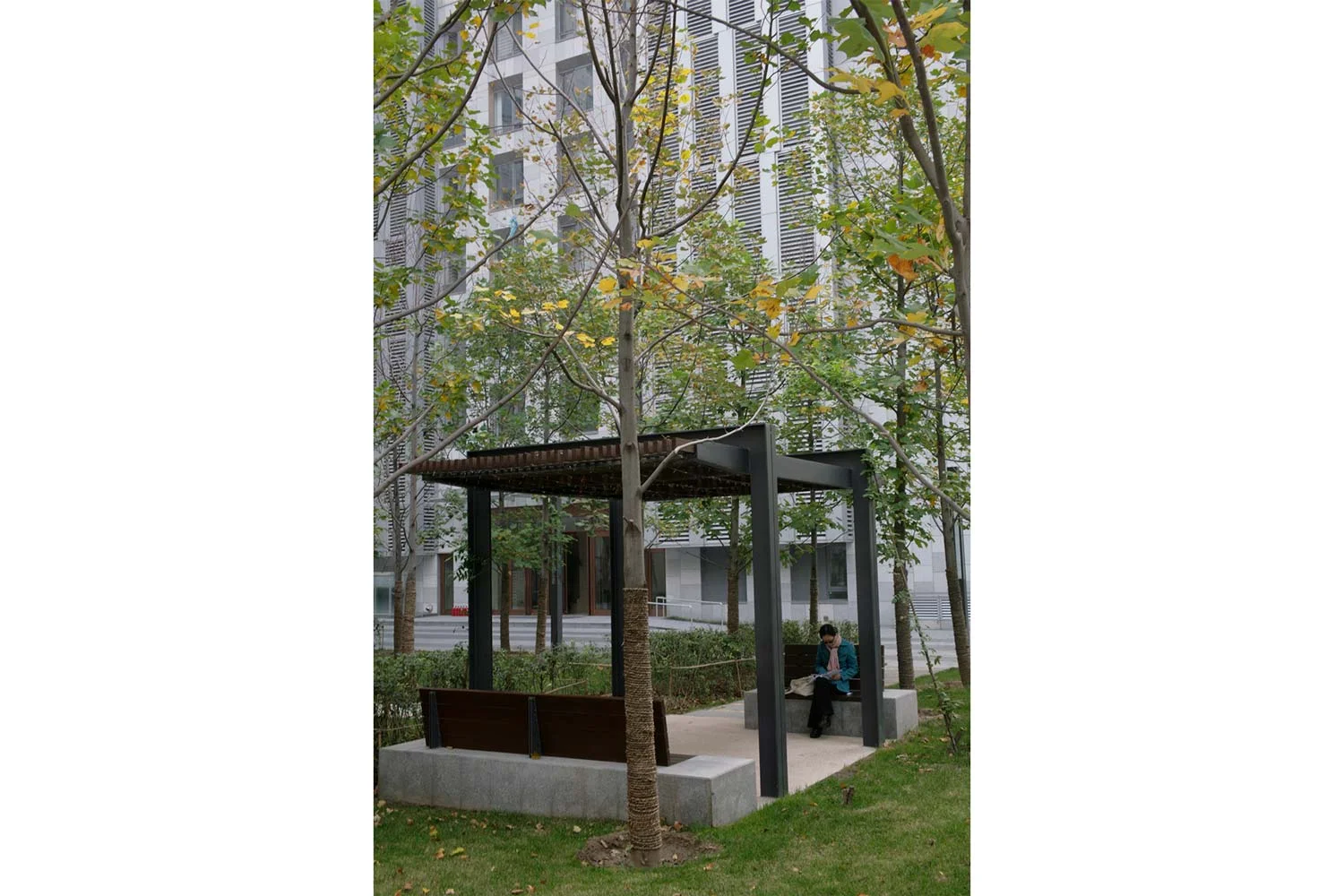 Park-Five_Bejing_Courtyard-Greenspace_KMDG_MG-7620.jpg