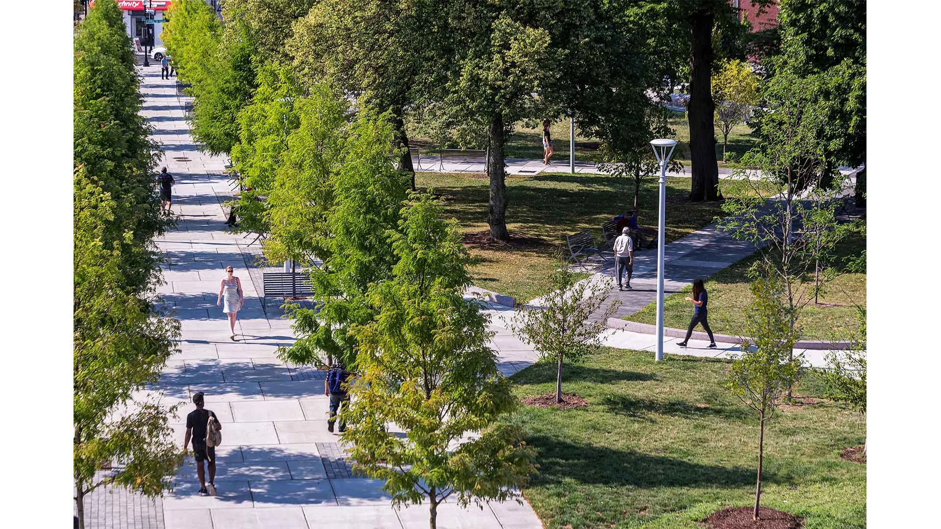 Central-Square-East-Boston_Locust-Allee_CPP_KMDG.jpg