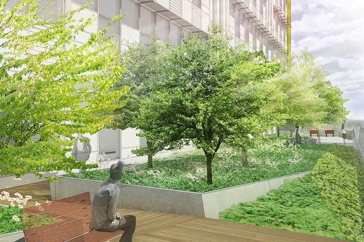 Brigham and Women's Hospital | Master Plan Boston, MA