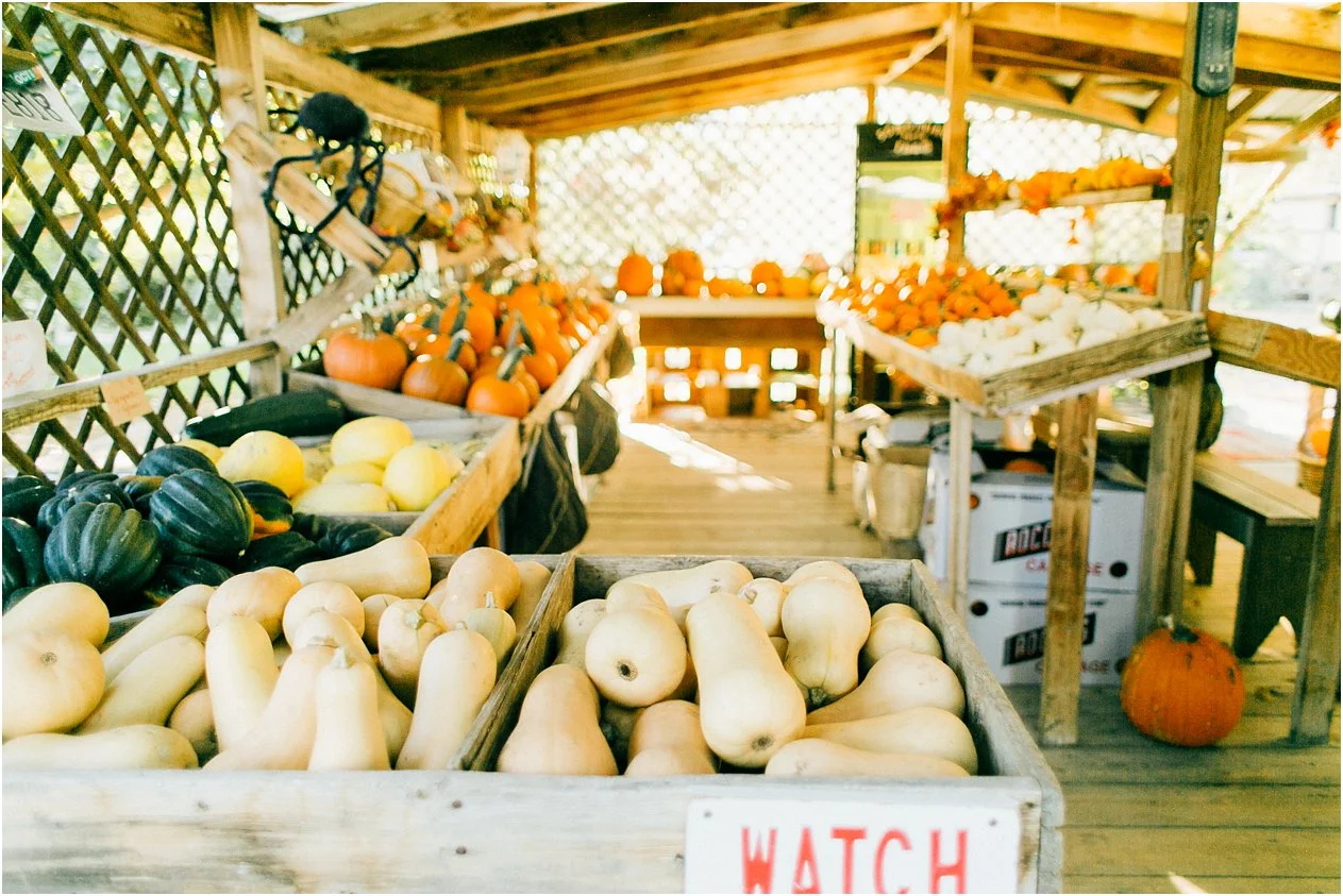 20171011SeniorPumpkinPatch135_web.jpg