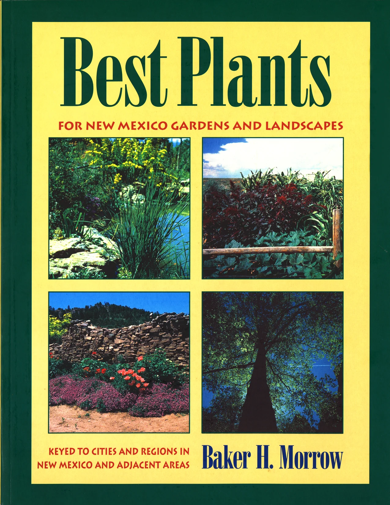 Best Plants.jpg