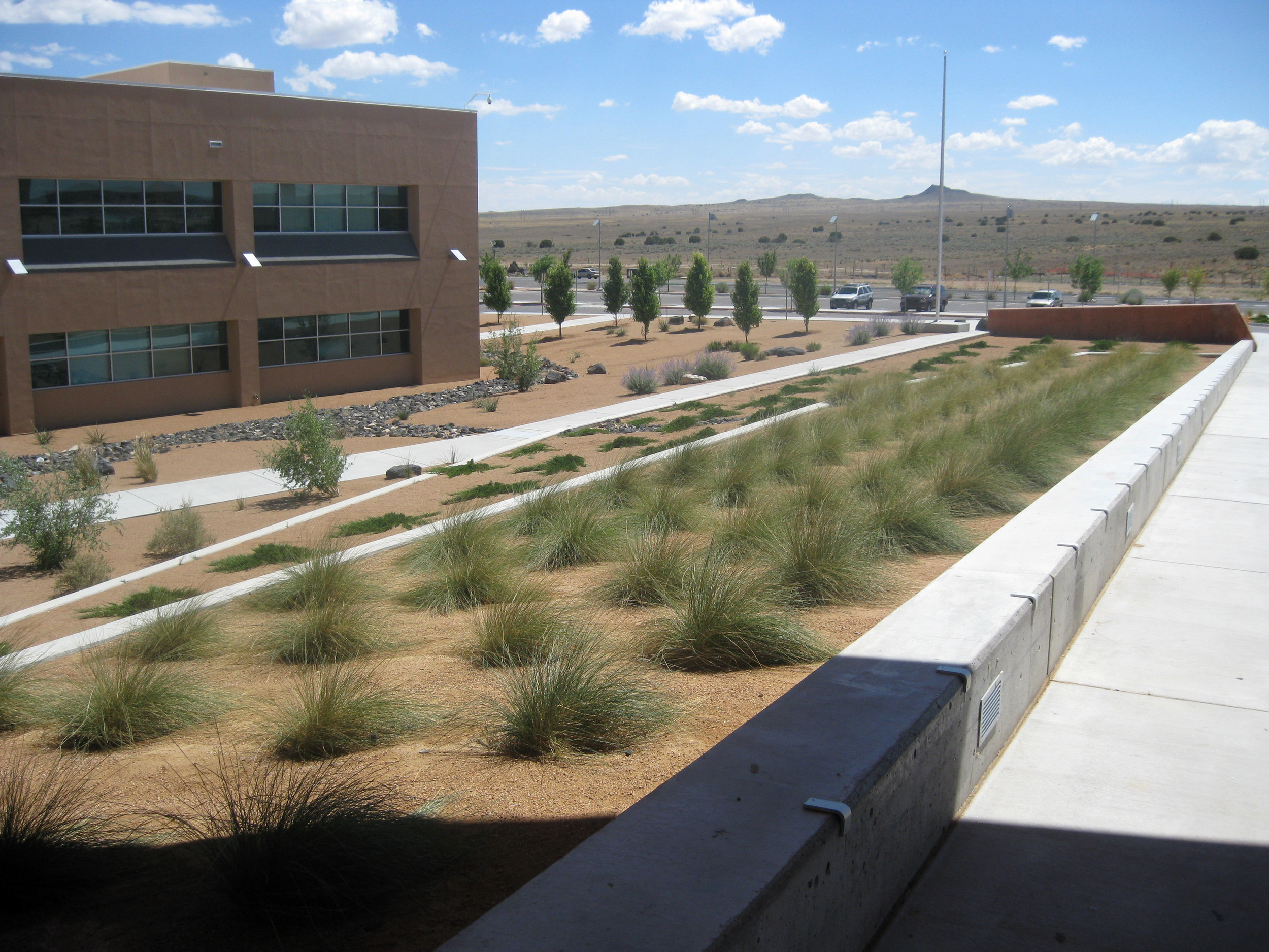 Volcano Vista High School — MRWM Landscape Architects