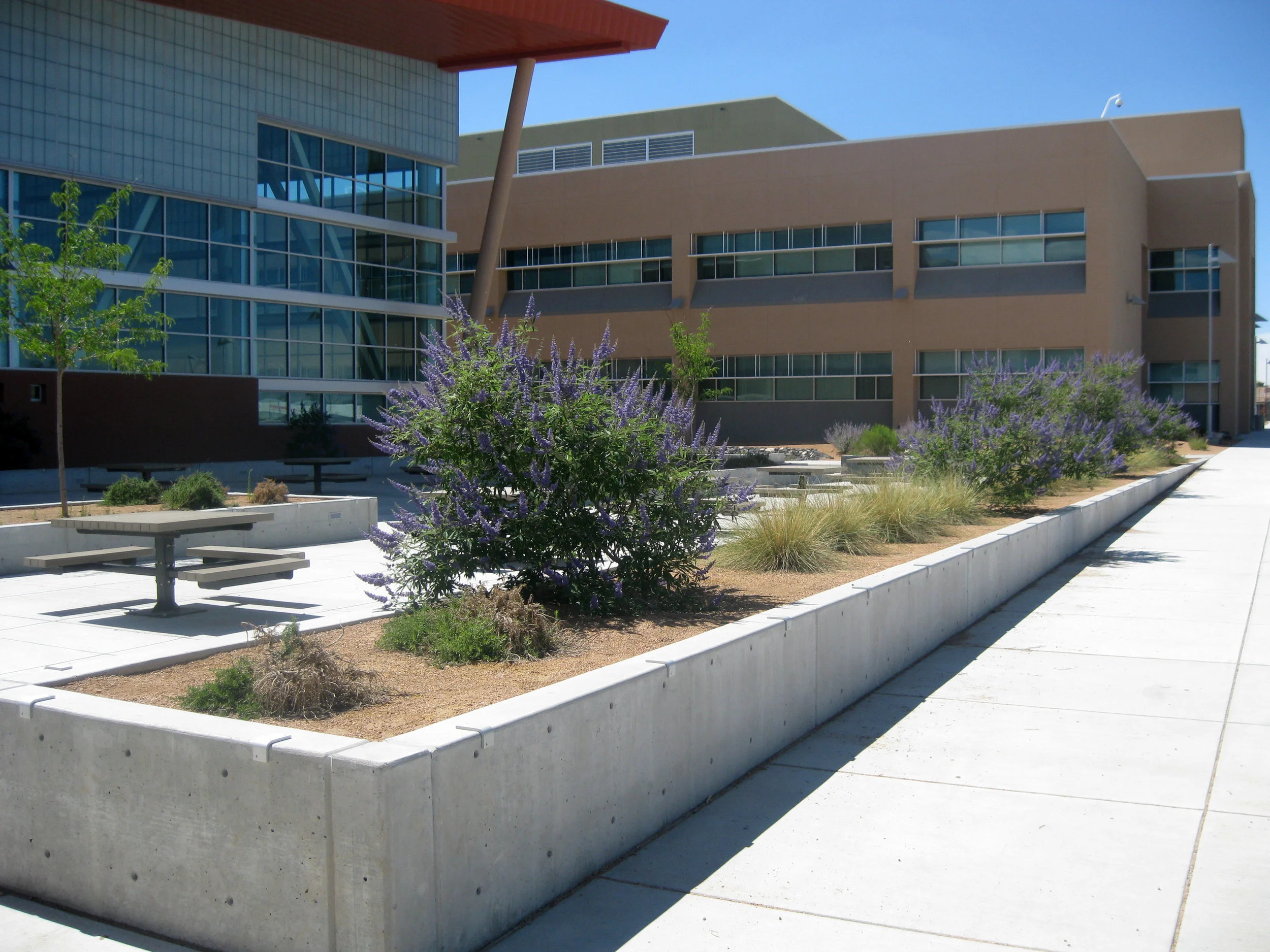 Volcano Vista High School — MRWM Landscape Architects