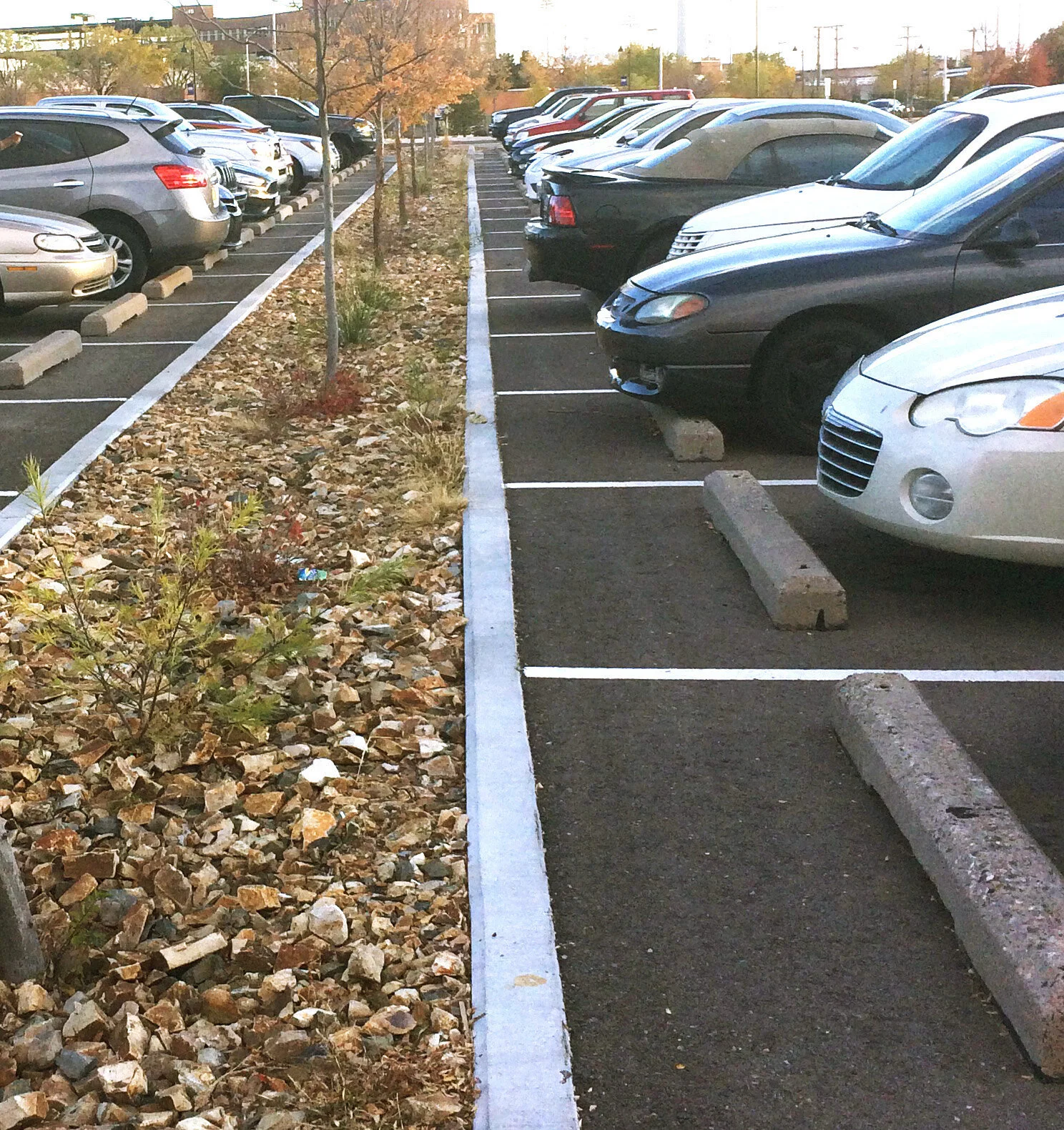 Reconnecting Water to Land Pt 2 Important Elements in HighPerforming