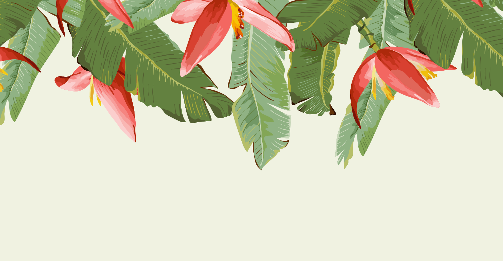 P24_MissBsCoconutClub_Tile-Hero (1).png