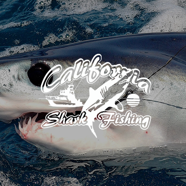 Ca_sharkfishing_button.png