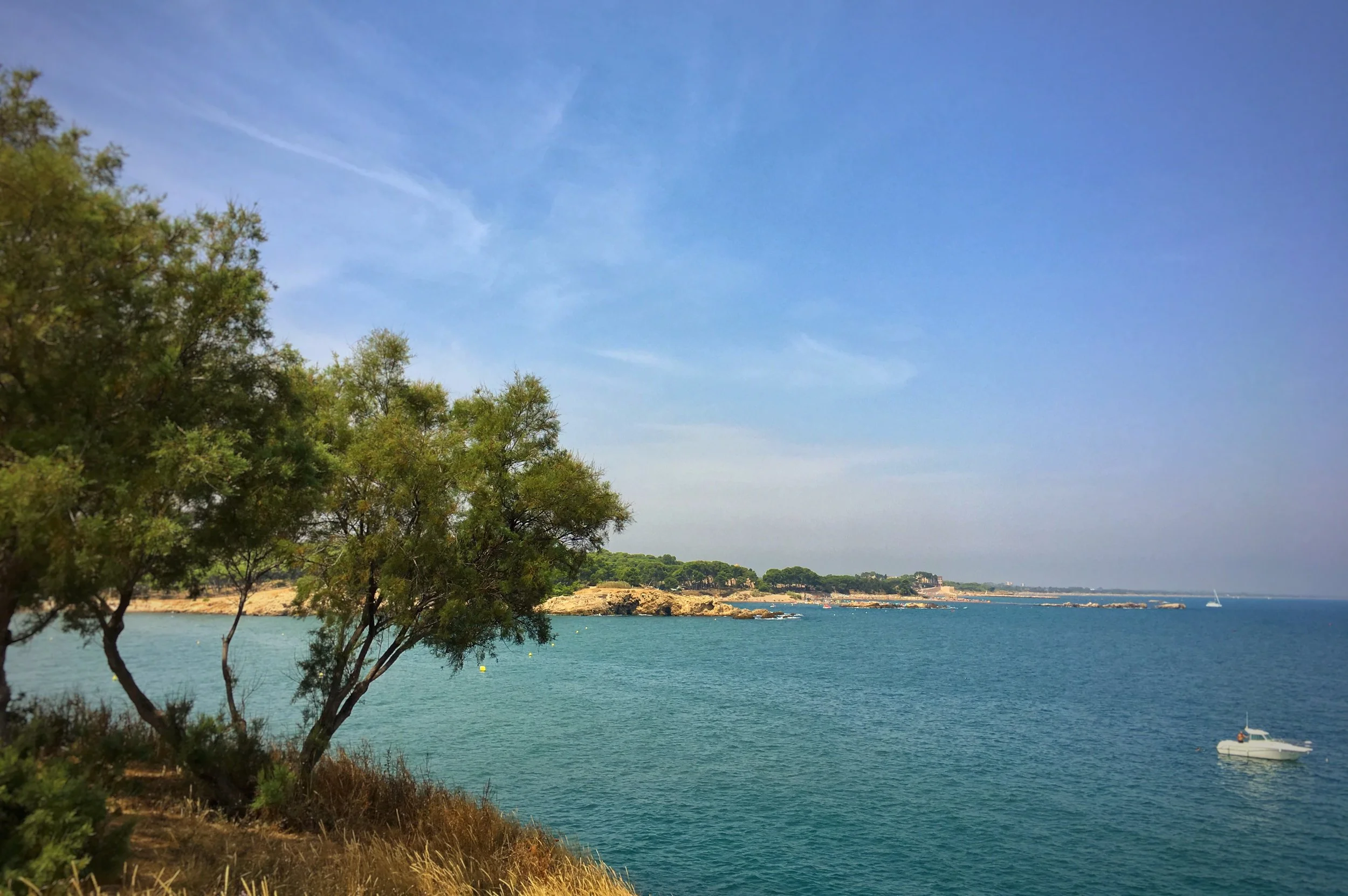 Photo Aug 27, 4 42 59 AM.jpg