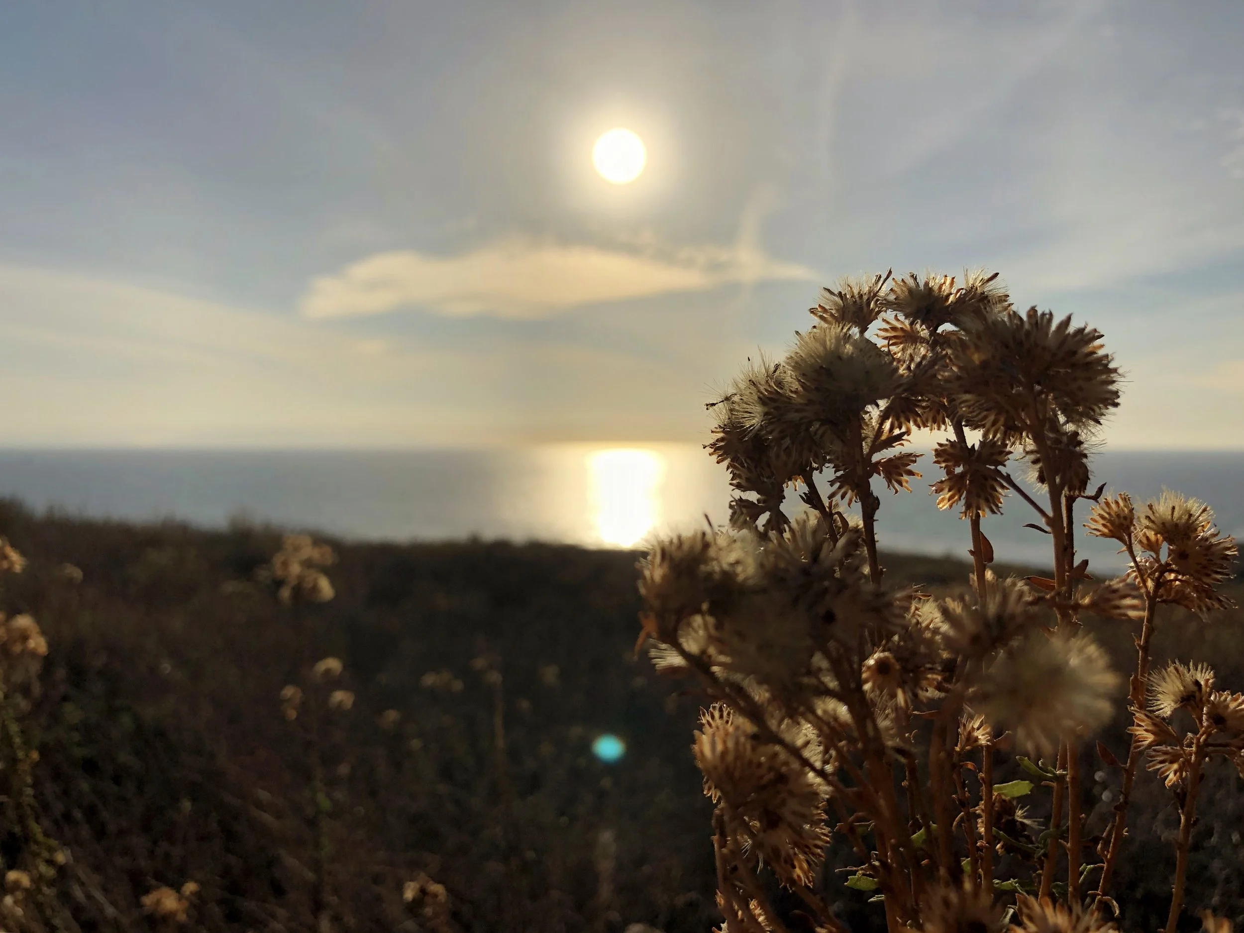 Photo Dec 24, 3 17 44 PM.jpg