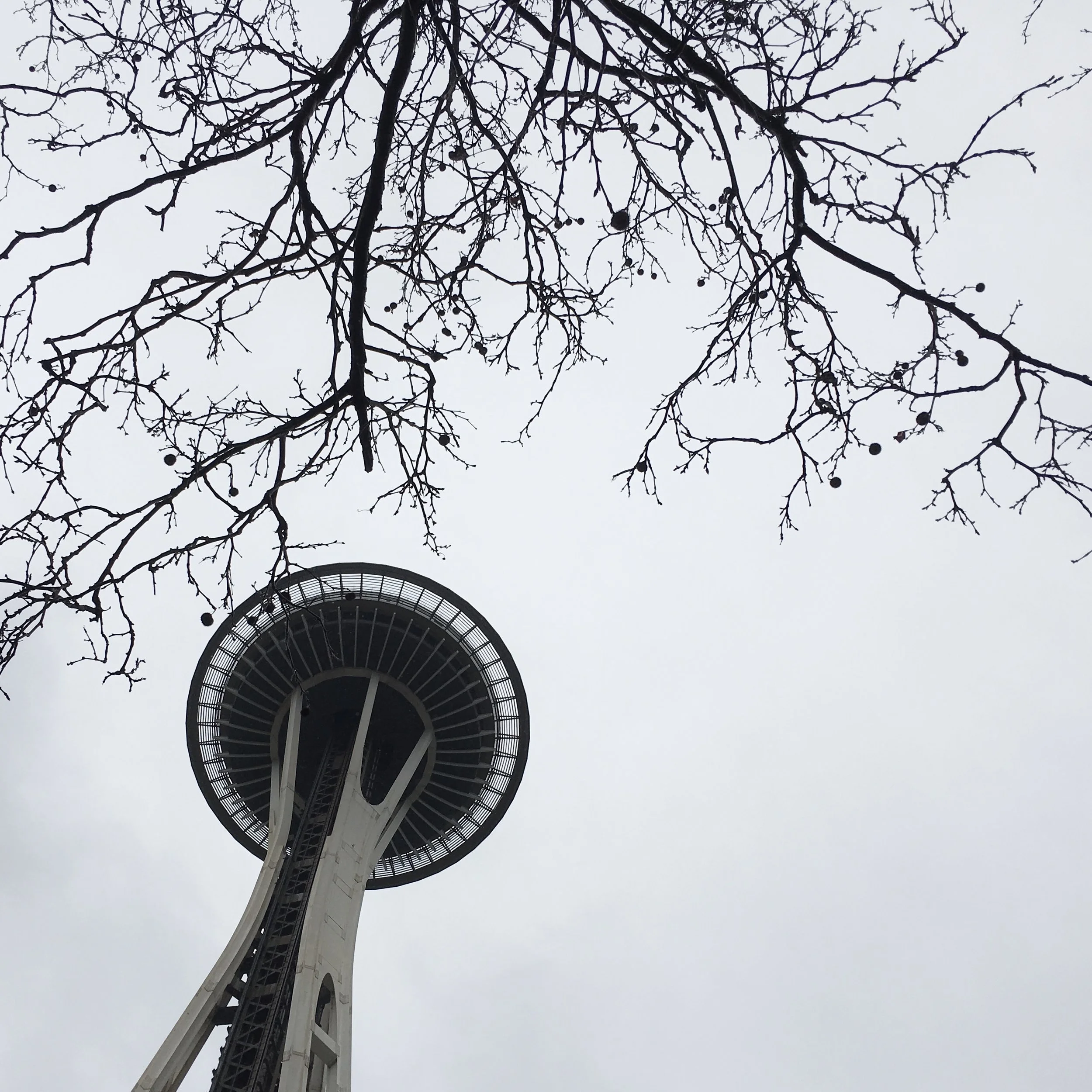 Photo Feb 18, 1 42 15 PM.jpg