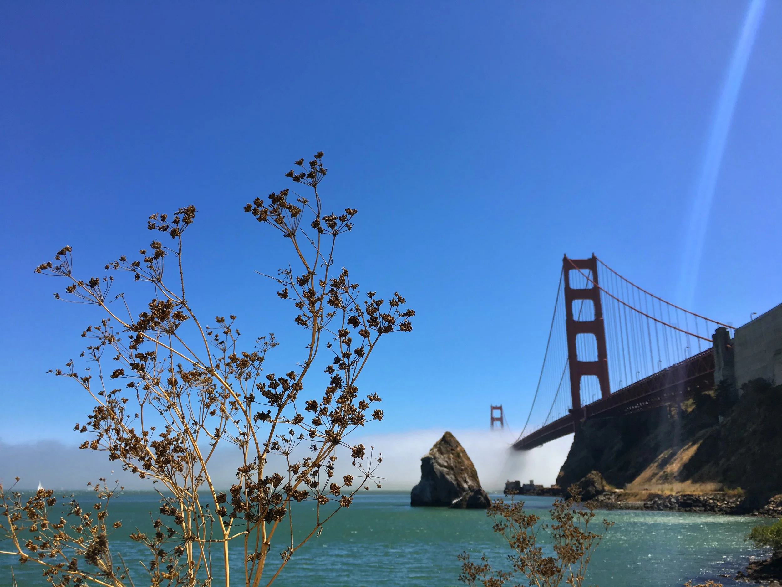 Photo Jul 22, 3 17 25 PM.jpg