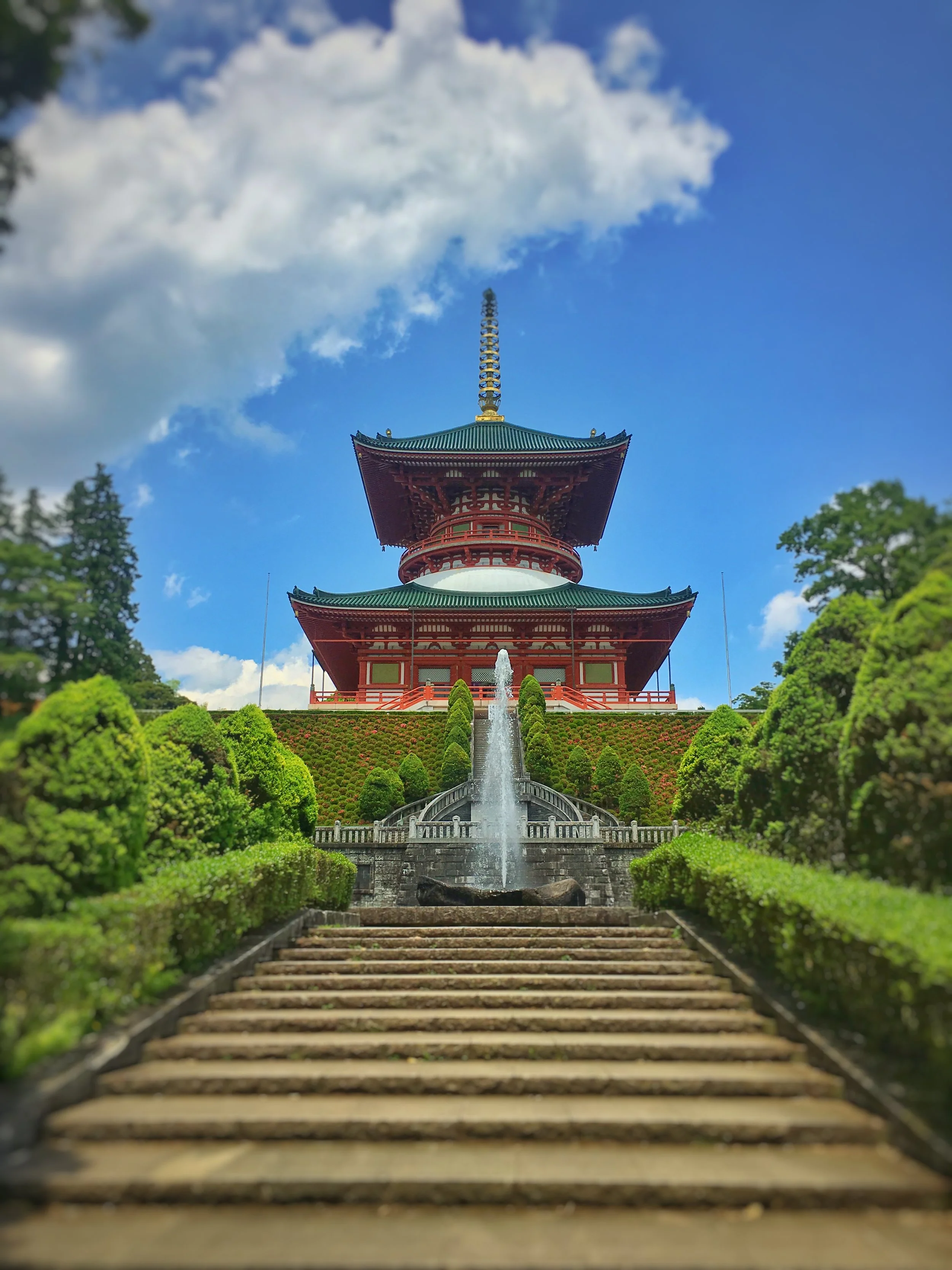 Photo Jun 04, 7 51 32 PM.jpg