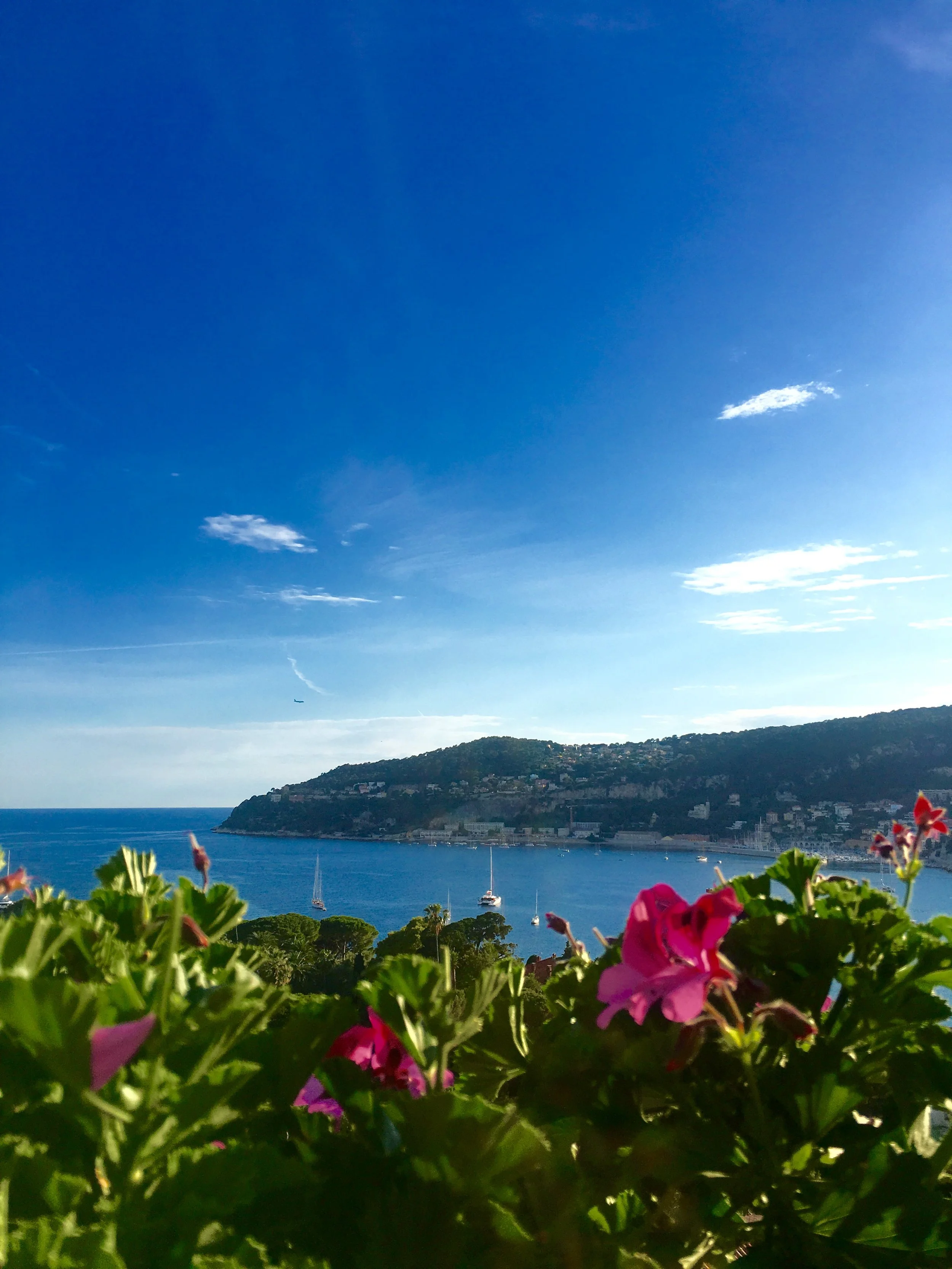 Photo Jun 10, 10 19 38 AM.jpg