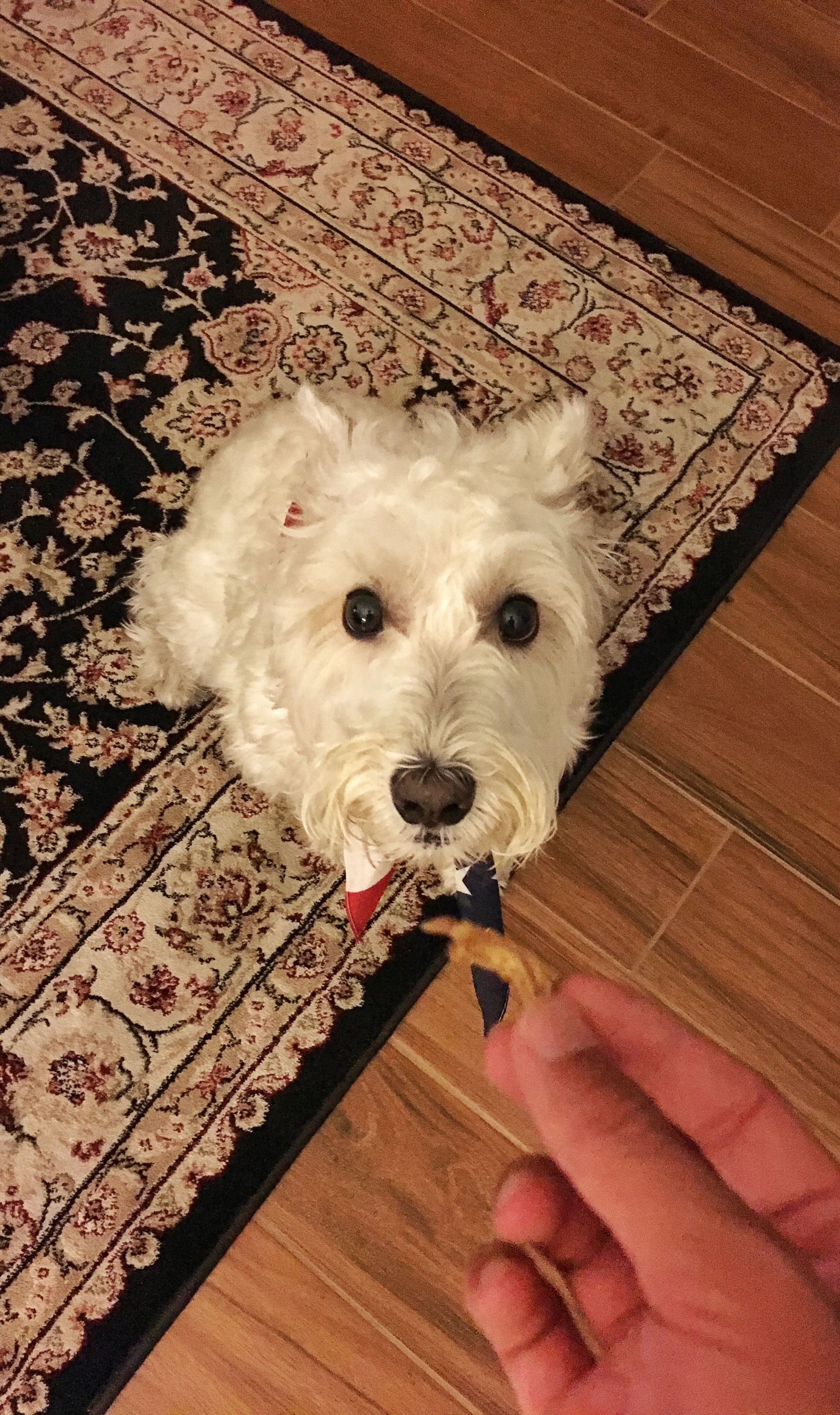 Photo Jul 02, 8 20 28 PM.jpg