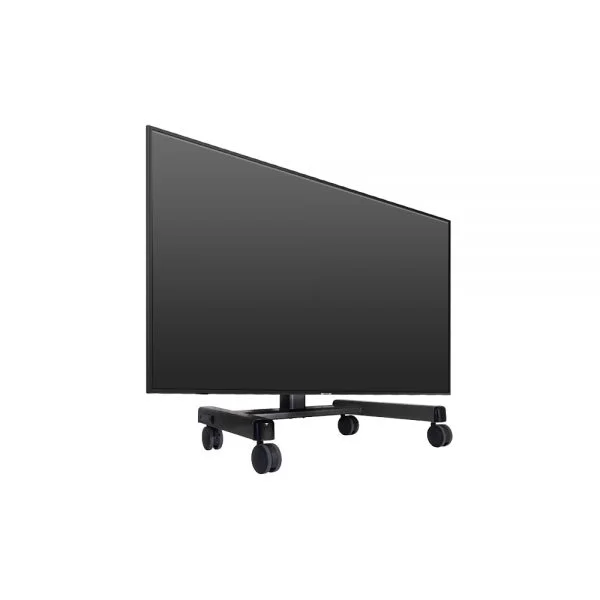 32” confidence monitor